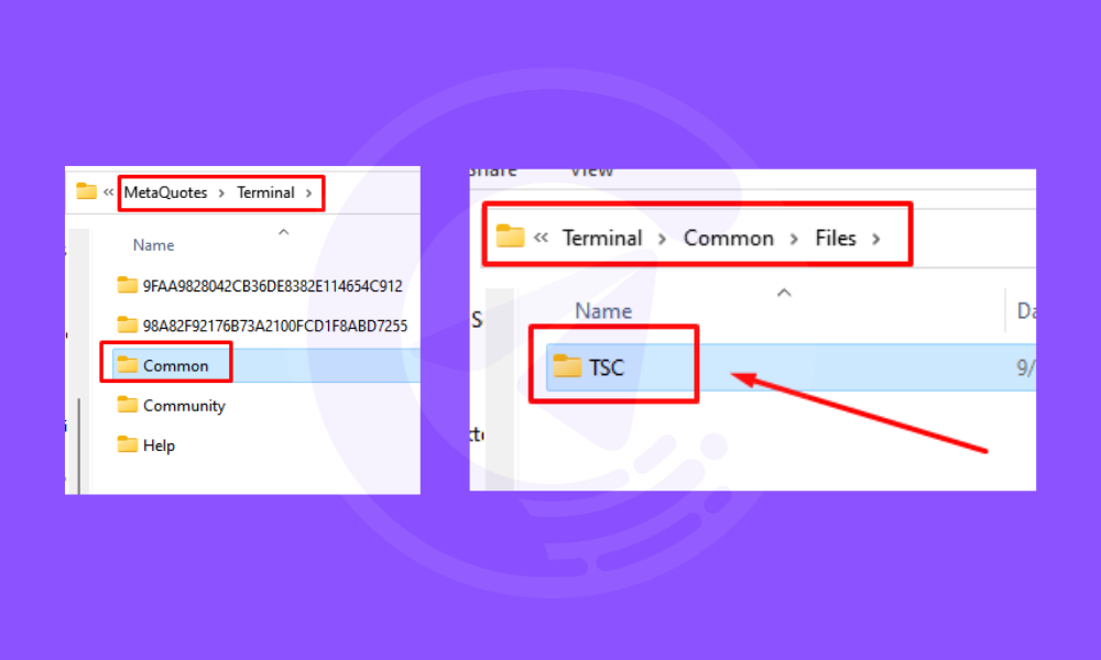 telegram trade not copying telegram trade not copying