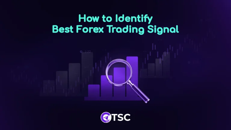 how to identify best forex signals telegram