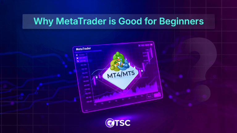 Why is MetaTrader Good for Beginners