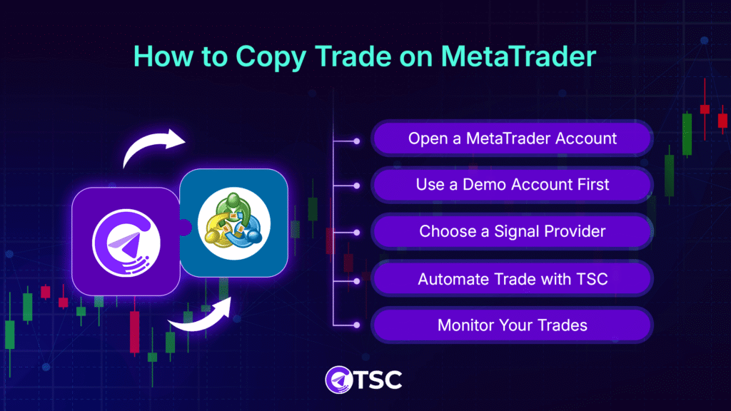 How to Copy Trade on MetaTrader
