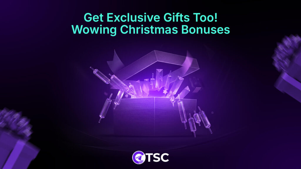 Christmas Holiday Season Offers on Telegram signal copier